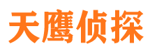 贡嘎侦探公司